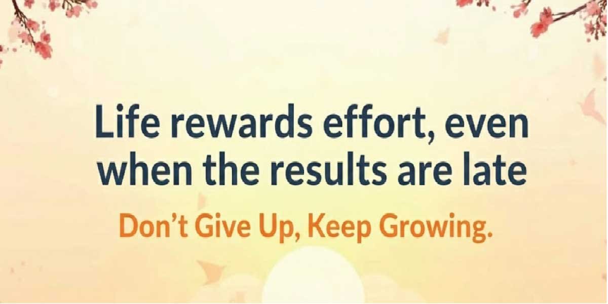 Life rewards effort, even when the results are late.