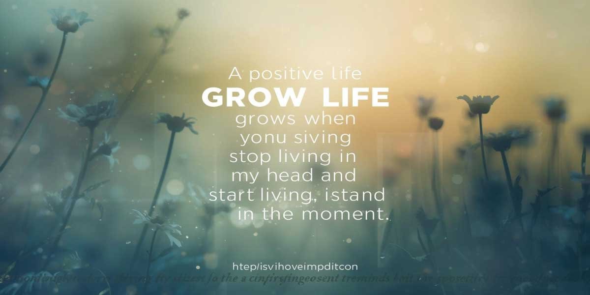 Motivational Quotes for a Positive Life